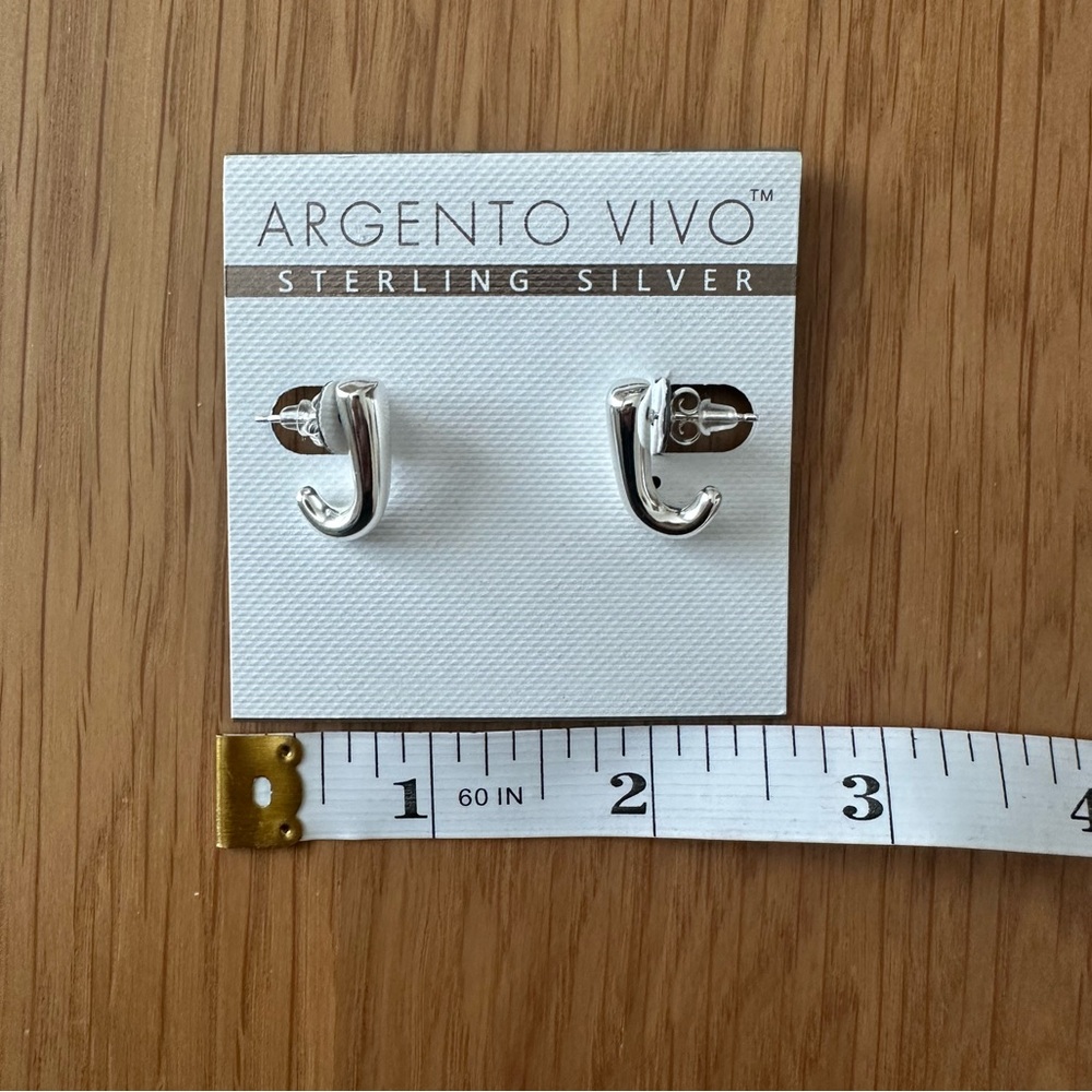 Argento Vivo Silver Earrings